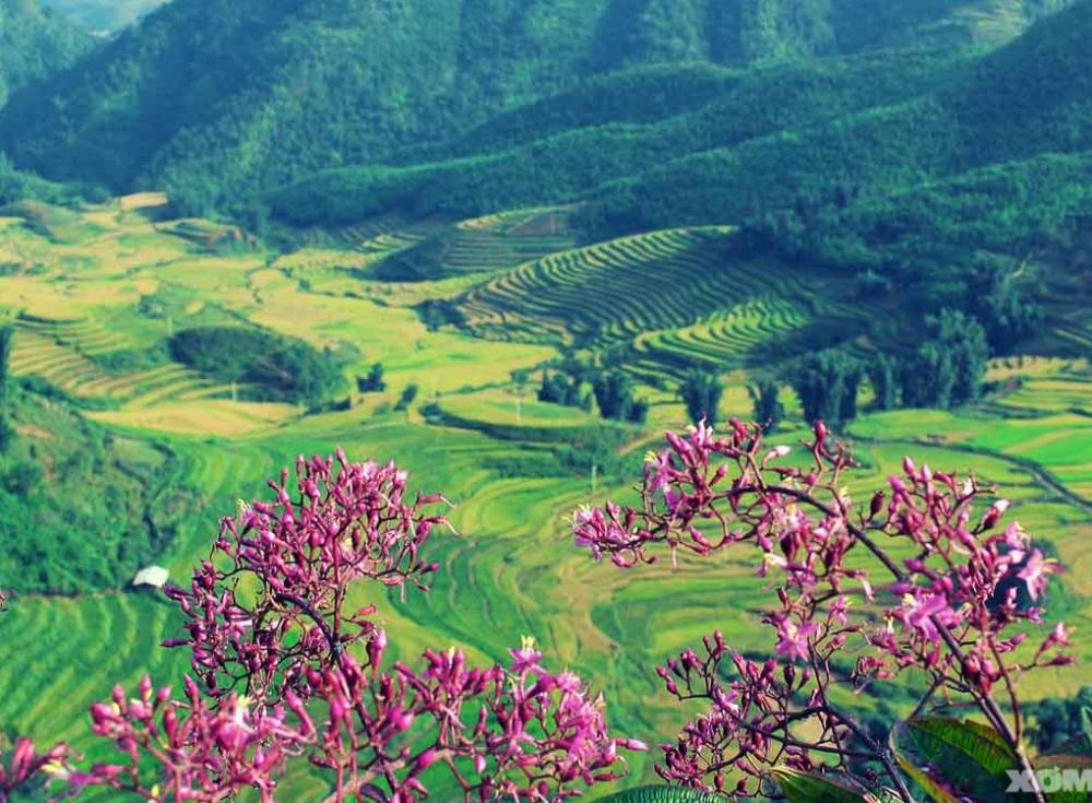 Những lưu ý khi du lịch Điện Biên